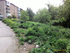 Фото отсутствует