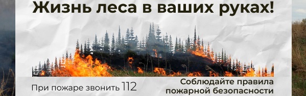 Главное управление лесами Челябинской области