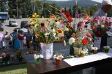 IMG_9511.JPG