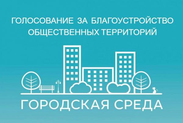 Подведены итоги электронного голосования по выбору объектов благоустройства