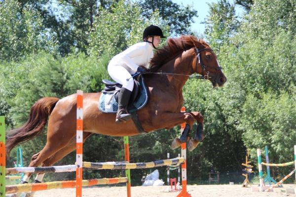 В Златоусте прошла открытая тренировка по конкуру и манежной езде