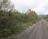 IMG_4740.JPG