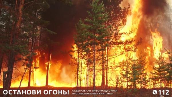 В Златоустовском городском округе пожароопасный сезон установлен с 1 мая