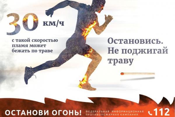 Оперативная информация