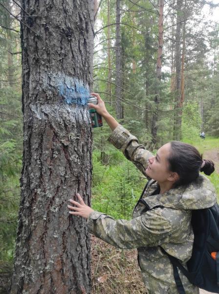 Волонтеры очистили и промаркировали экотропу на хребте Уреньга