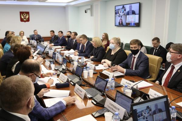 В Совете Федерации обсудили актуальные вопросы развития социальной политики Челябинской области