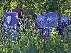 Златоустовские кладбища благоустраивают
