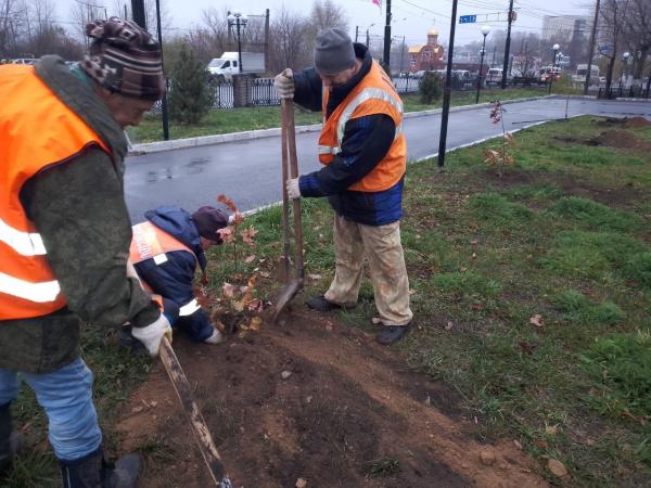 В скверах Златоуста высаживают деревья